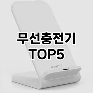 무선충전기 추천 TOP5 가격 내돈내산 장점 클리앙