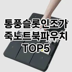 통풍슬롯인조가죽노트북파우치 추천 TOP5 핫딜 내돈내산 가성비 클리앙