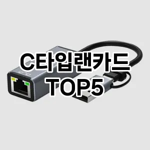 C타입랜카드 추천 TOP5 순위 내돈내산 후기 장단점 더쿠