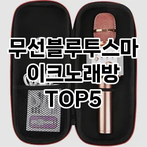 무선블루투스마이크노래방 추천 TOP5 가격 후기 기본정보 클리앙