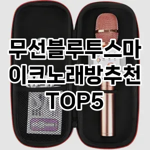 무선블루투스마이크노래방추천 추천 TOP5 판매 순위 후기 가성비 더쿠