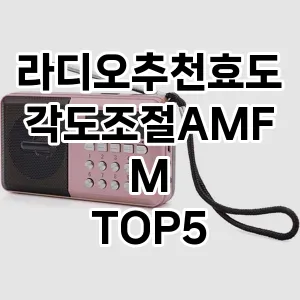 라디오추천효도각도조절AMFM 추천 TOP5 판매 순위 내돈내산 가성비 더쿠