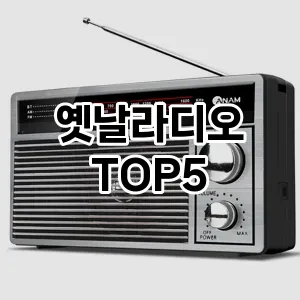 옛날라디오 추천 TOP5 핫딜 내돈내산 리뷰 정보 클리앙