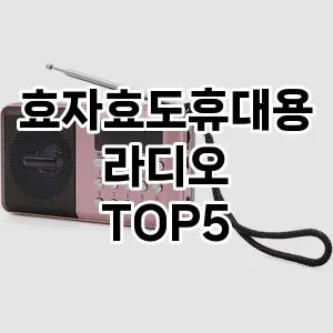 효자효도휴대용라디오 추천 TOP5 가격 리뷰 단점 클리앙